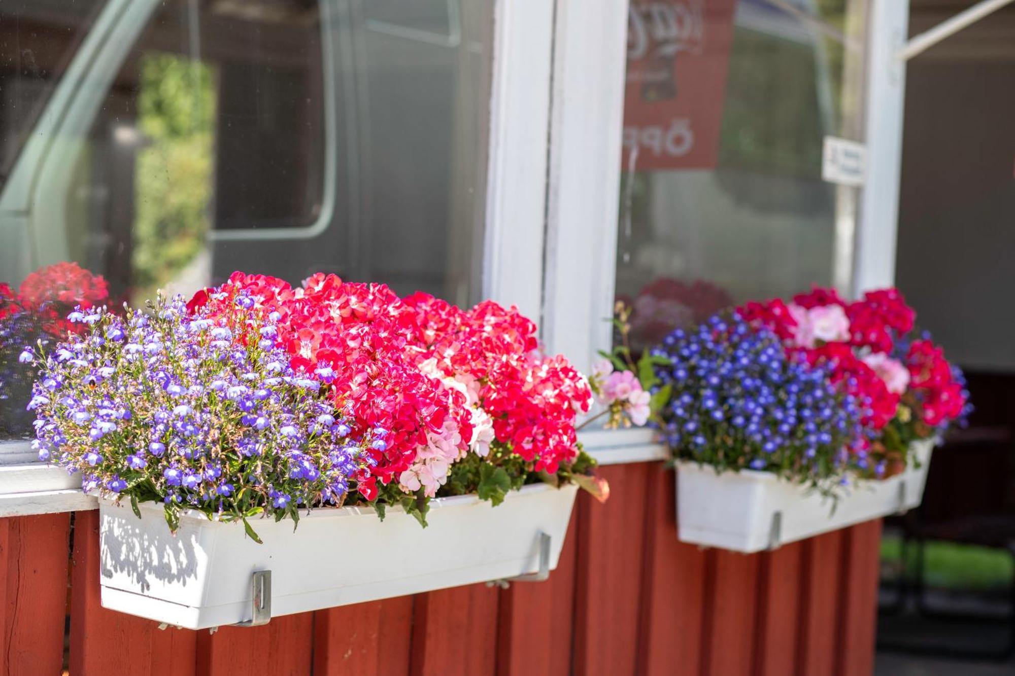 Stockholm Aengby Camping Extérieur photo